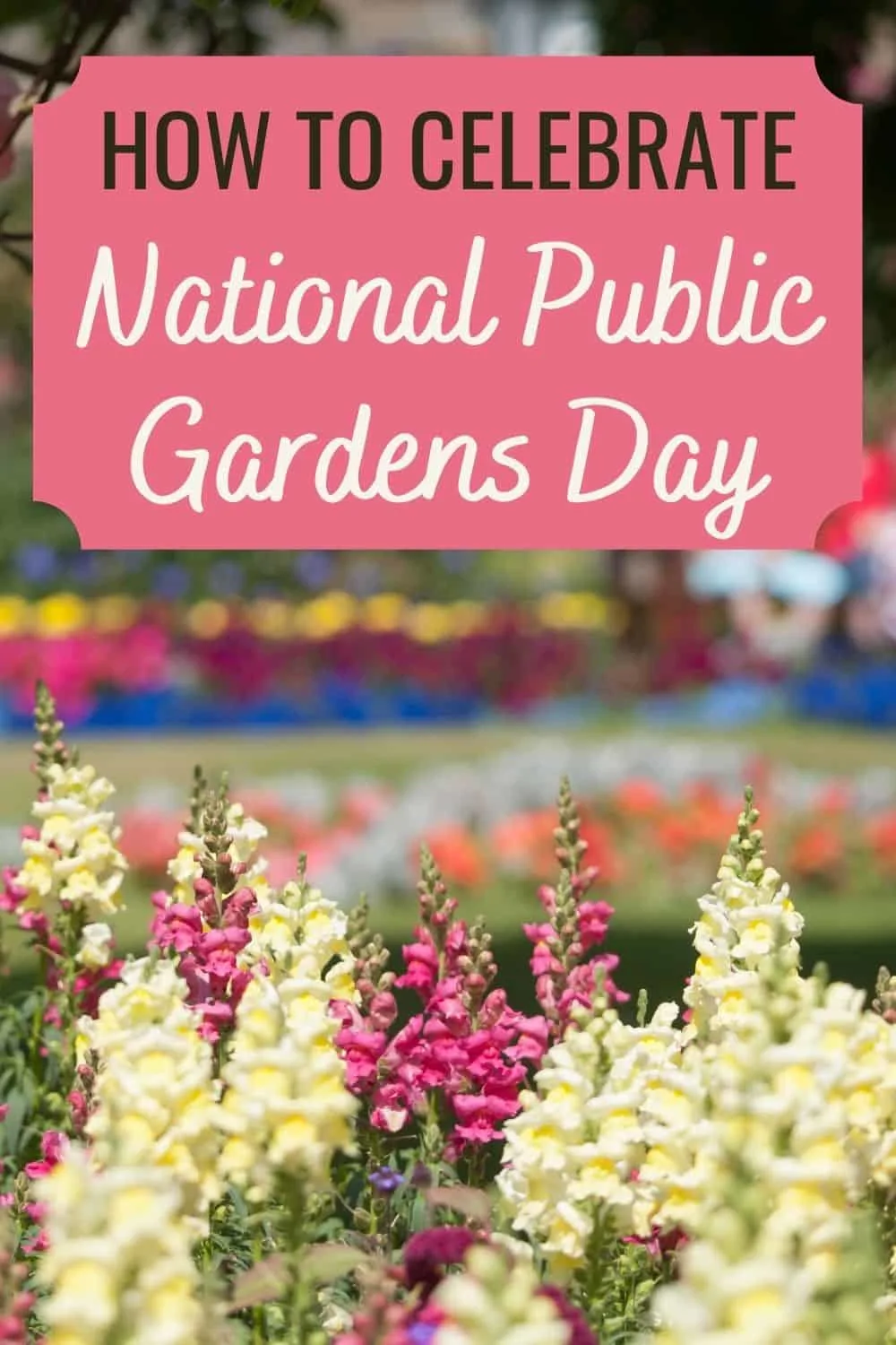 How to celebrate National Public Gardens Day