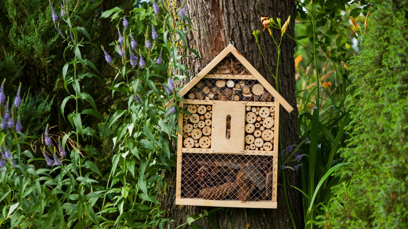 insect house in a garden.