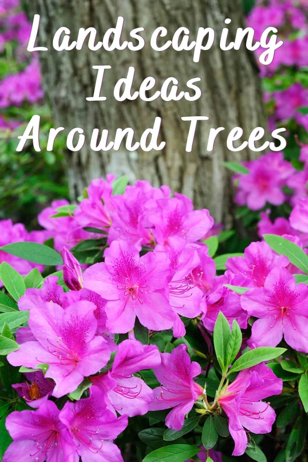 landscaping ideas around trees