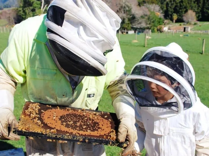 young child learning about bees from a beekeeper