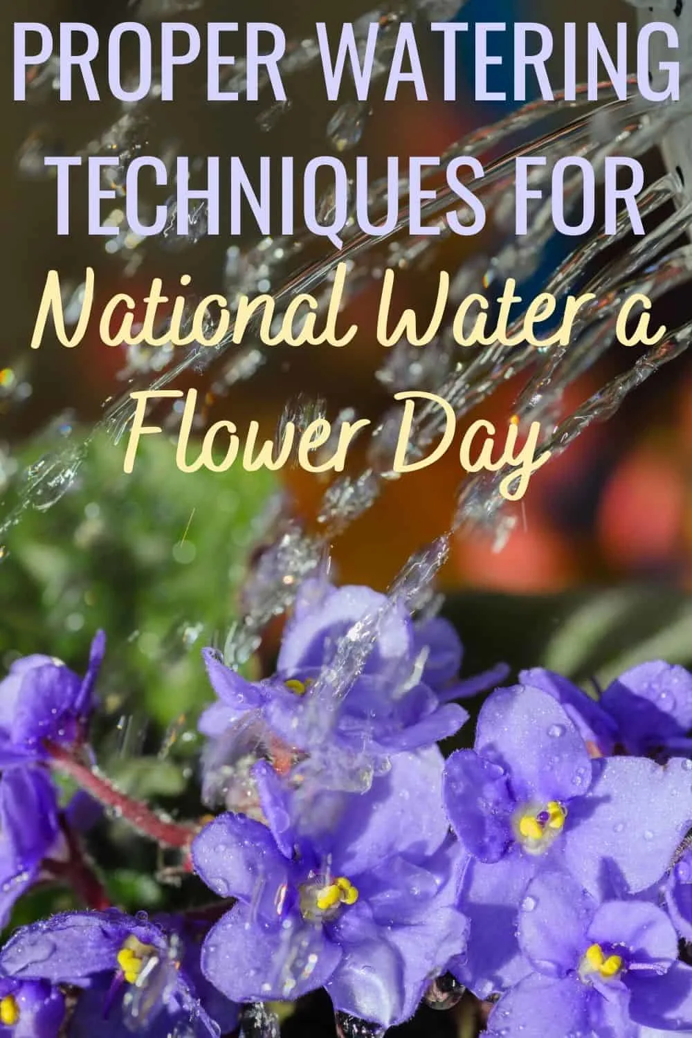 Proper Watering Techniques for National Water a Flower Day