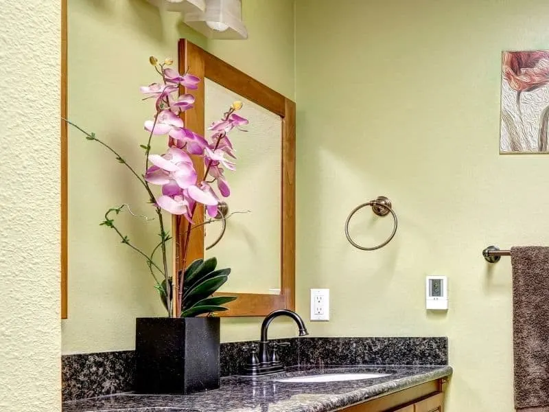 orchid flower in the bathroom