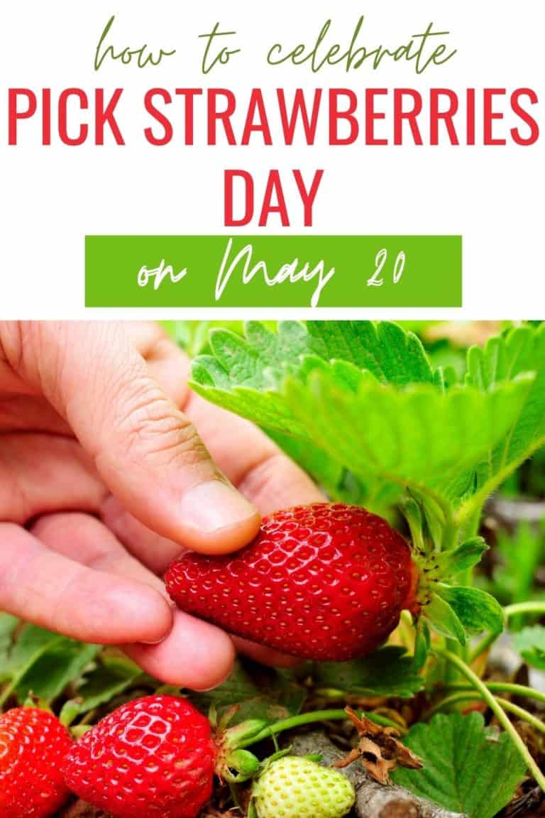 How To Celebrate Pick Strawberries Day On May 20