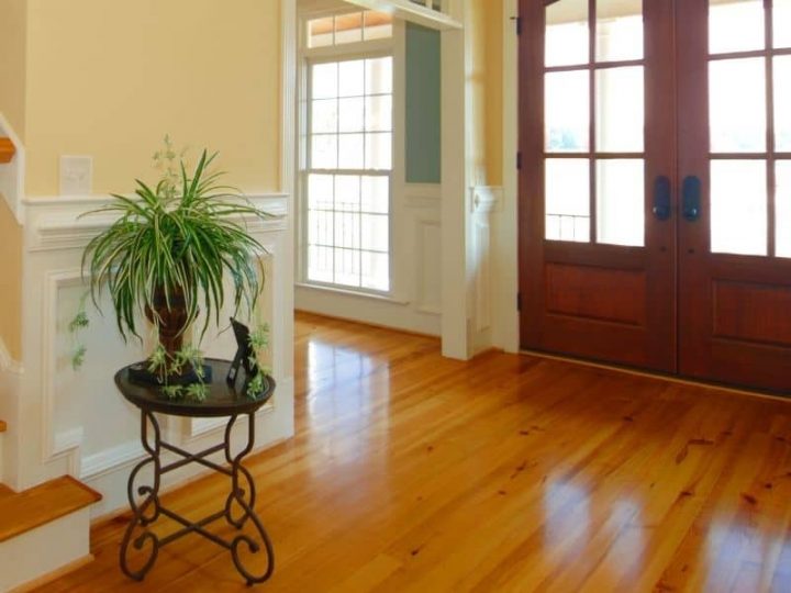 15 Best Indoor Plants For Entryway