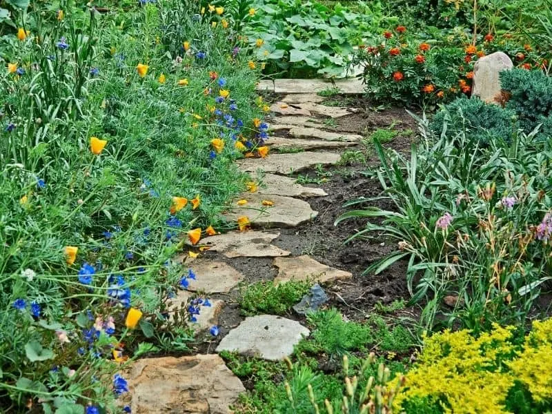 stone walkway flanked by colorful flowers