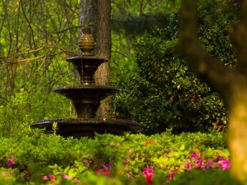 a water fountain under a tree surrounded by flowers