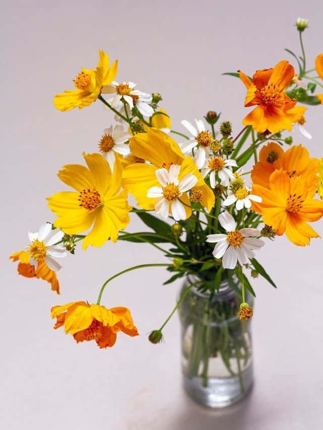 yellow and white flower bouquet in glass jar