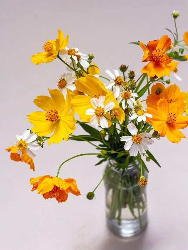 yellow and white flower bouquet in glass jar