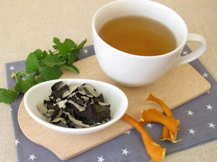 a cup of blackberry leaf tea and a plate with dried blackberry leaves