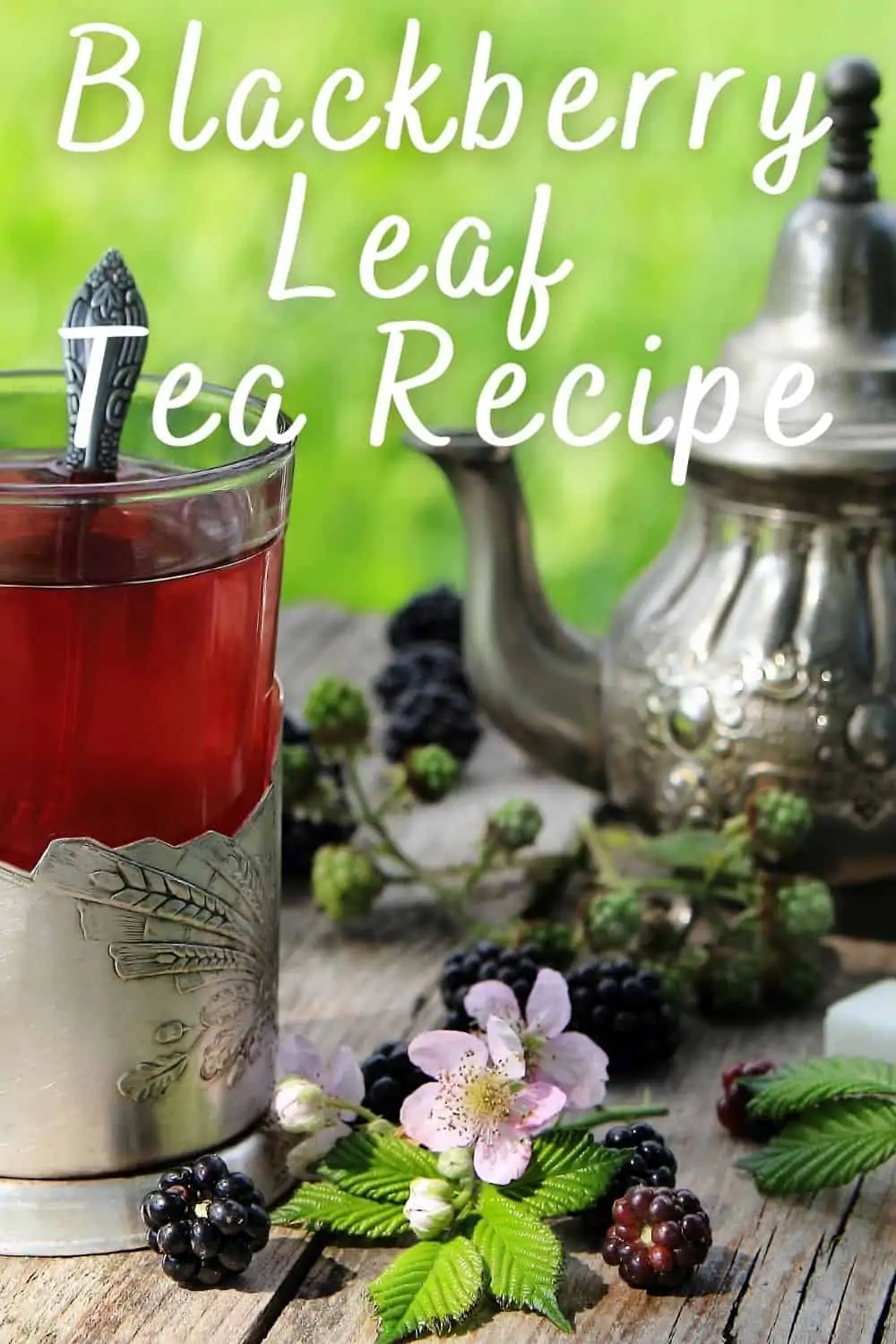 Blackberry leaf tea recipe