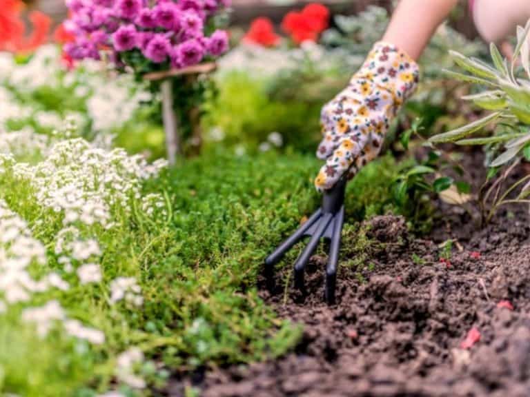 working in the garden
