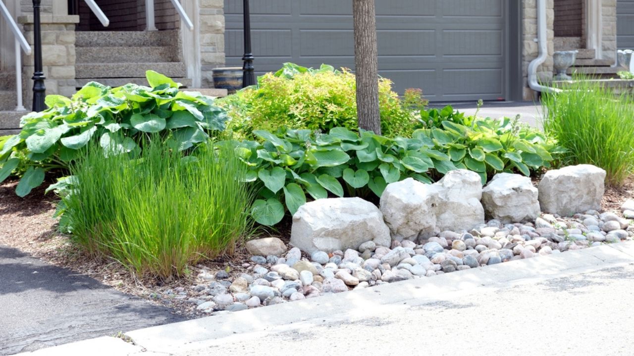 Low maintenance front garden landscaping features decorative armour stone and river rock, no lawn and easy care perennial hosta and ornamental grasses for colour and texture.