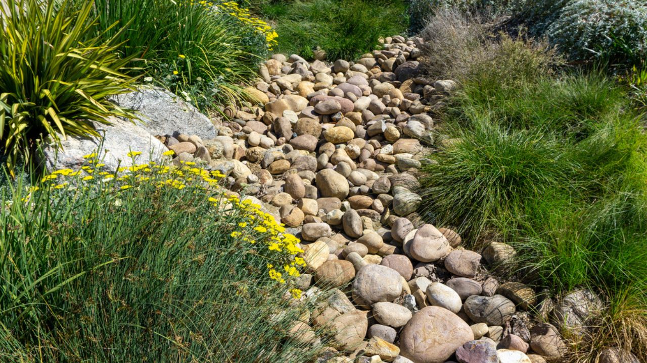 River rocks background