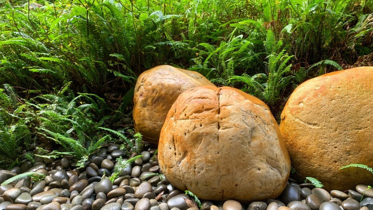 Tranquil garden featuring yellow and river rocks artfully arranged with lush ferns, creating a harmonious natural landscape.