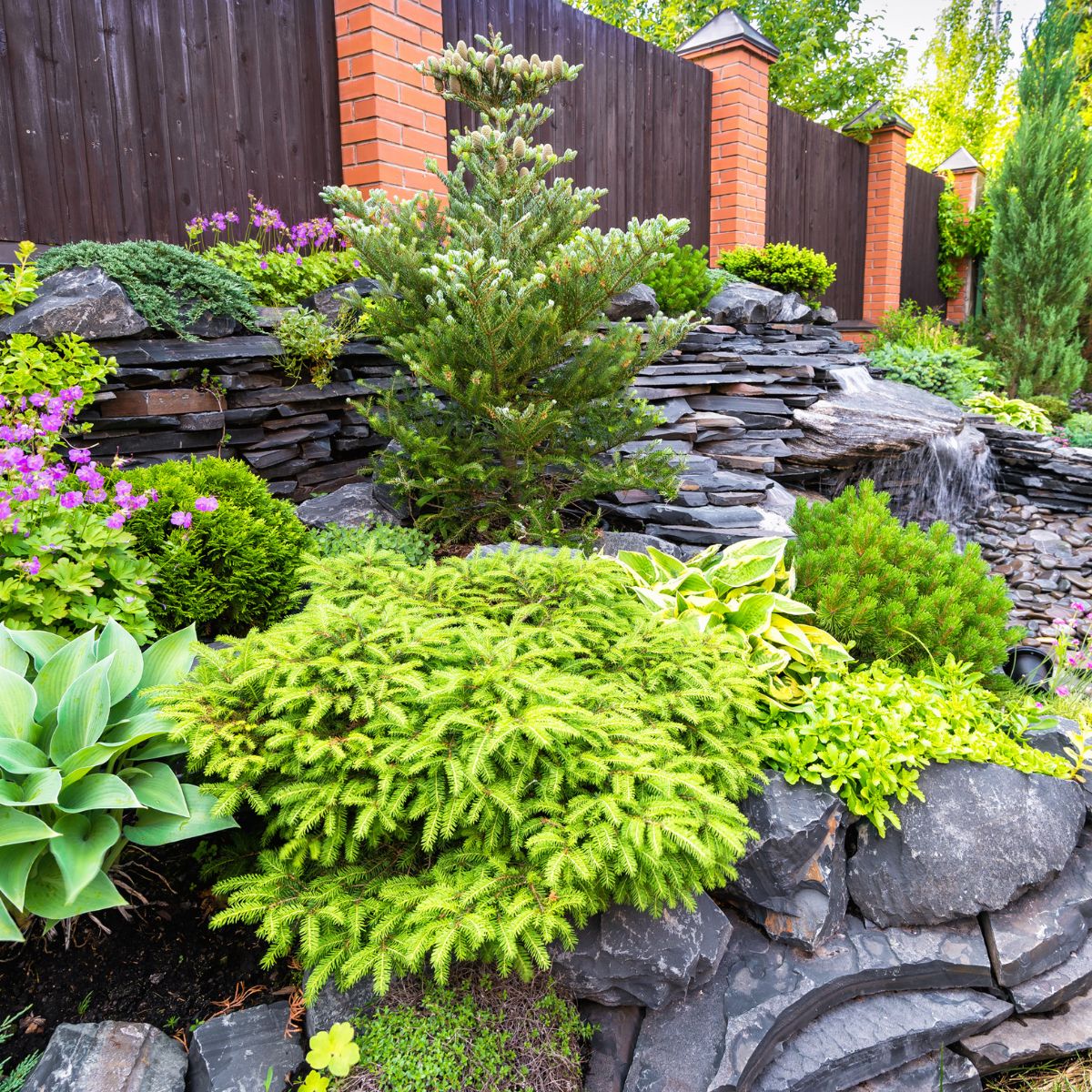 Landscape design in home garden close-up, beautiful landscaped garden with plants, bush, rocks and small fountain. Nice landscaping of residential house backyard in summer. Nature and stones theme.