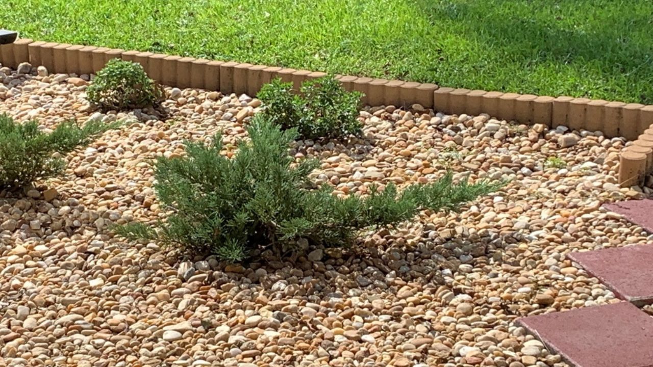Yard bushes in river rocks with stepping stones and grass and edging stones.