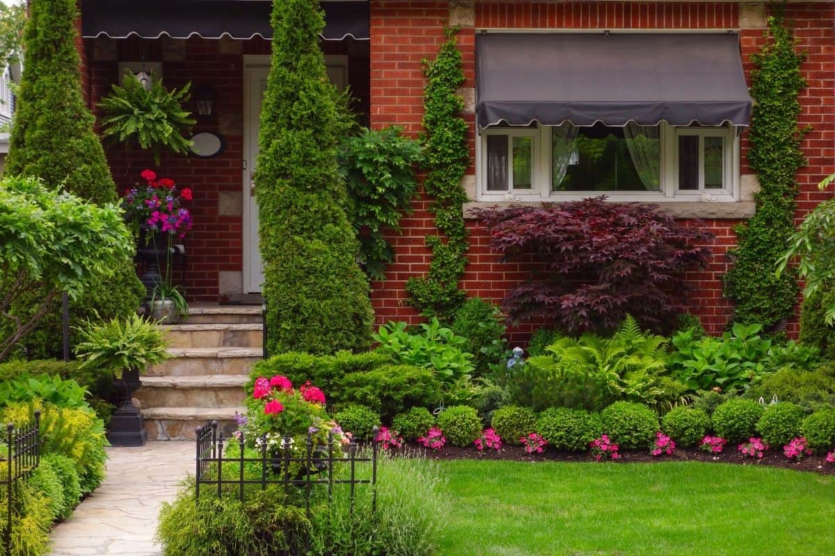 beautiful front yard landscaping