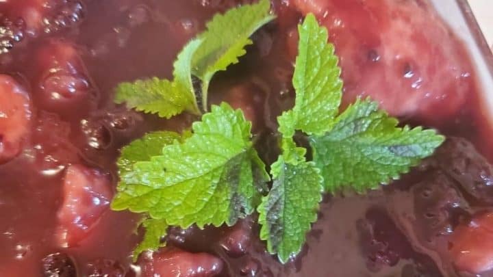 Easy to Make Blackberry Drop Dumplings