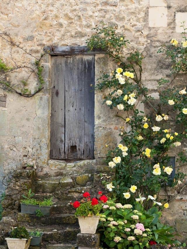 cotttage entrance with yellow roses