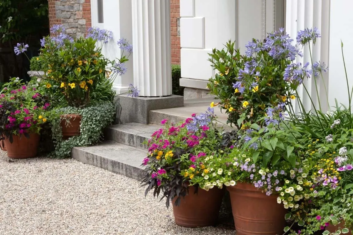 front entrance decorated with pebbles and potted flowers