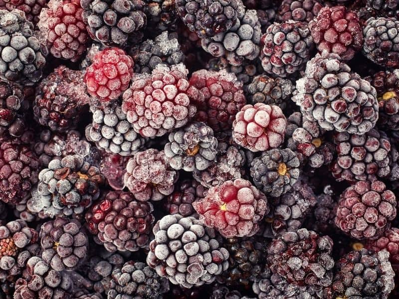 frozen blackberries