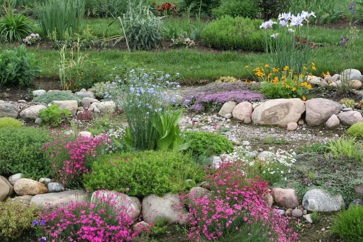hillside garden with colorful flowers and river rocks in between