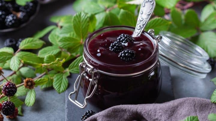 Easy Homemade Blackberry Jam Recipe