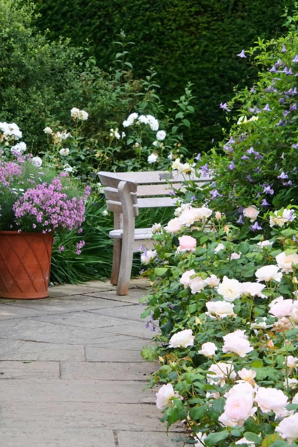 Beautiful spot created by landscaping with roses 