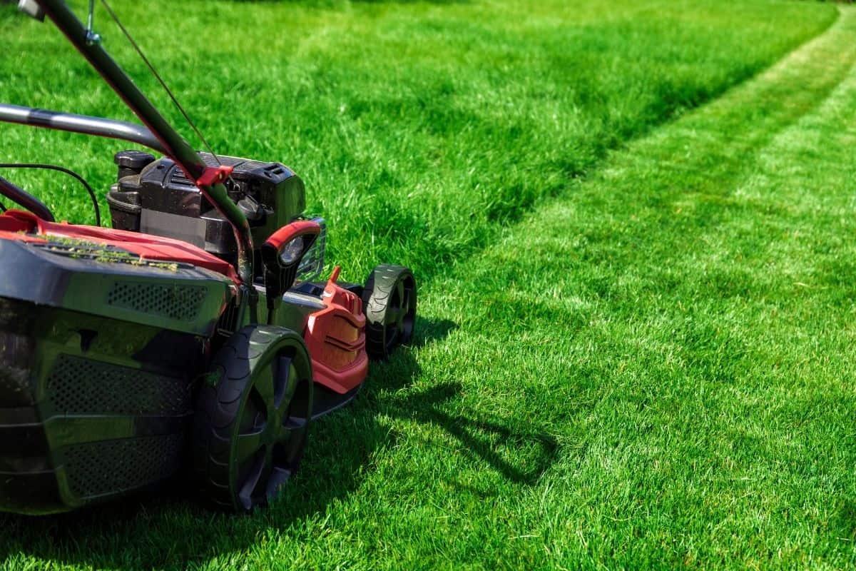 mowing lawn