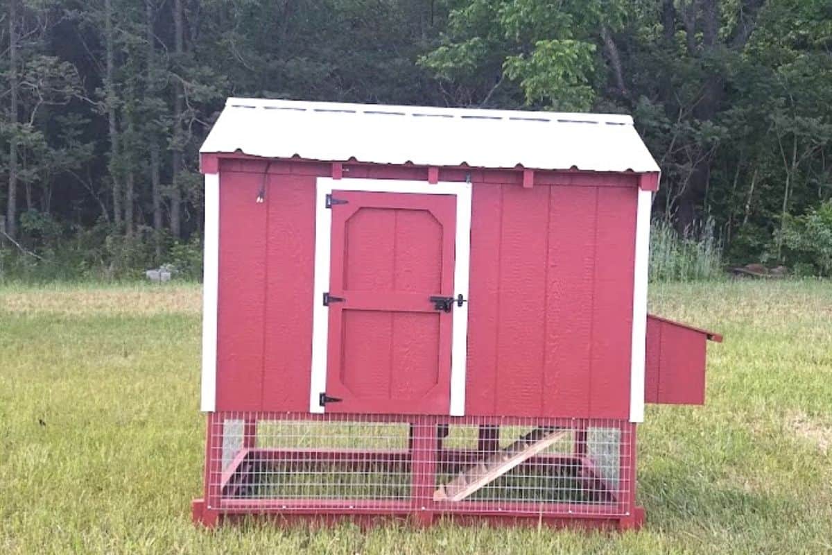 new chicken coop