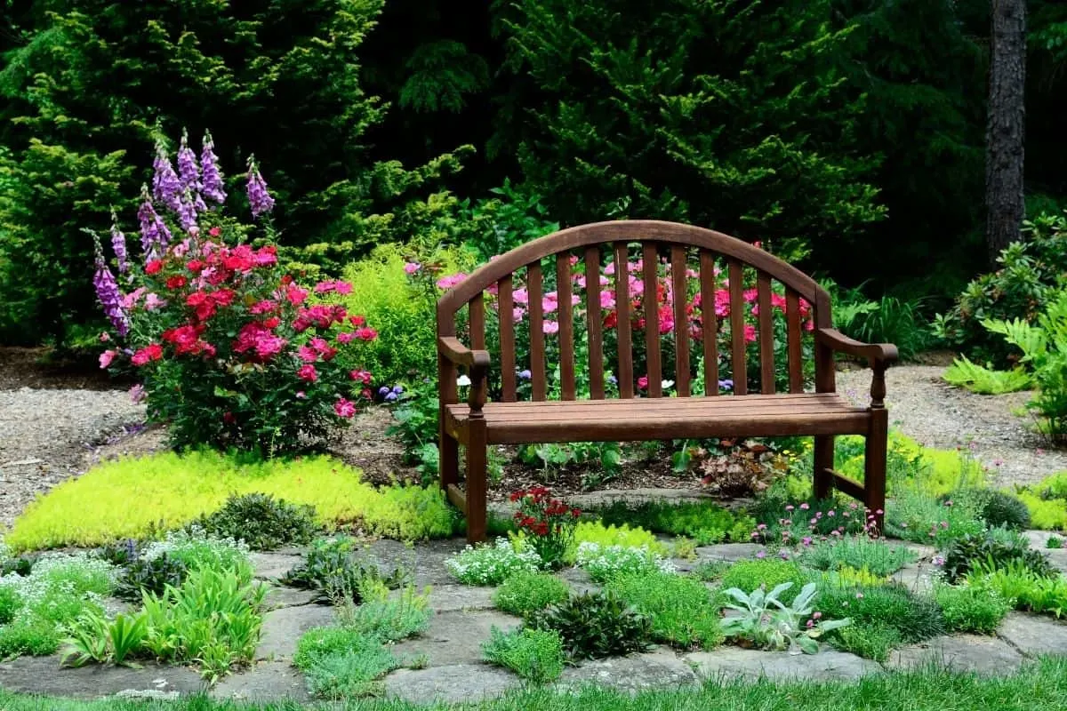 a bench sitting among roses and other plants