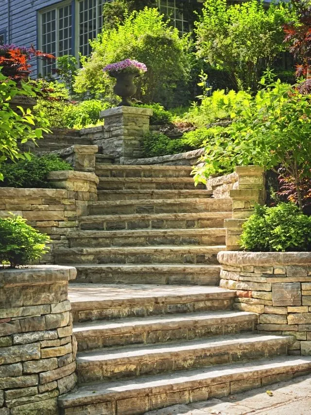 steps lined up with small shrubs