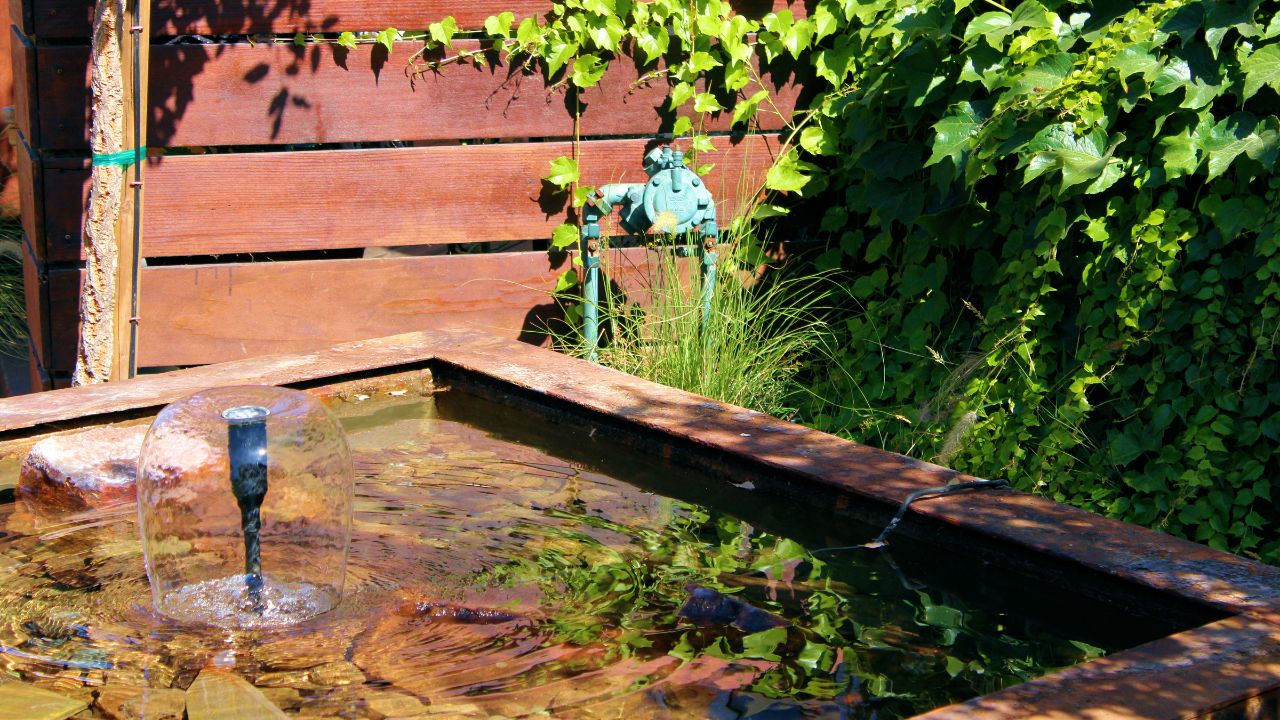 Water Fountain on a contemporary style pond surrounded by lush plants taken on an outdoor patio at a garden in a residential backyard