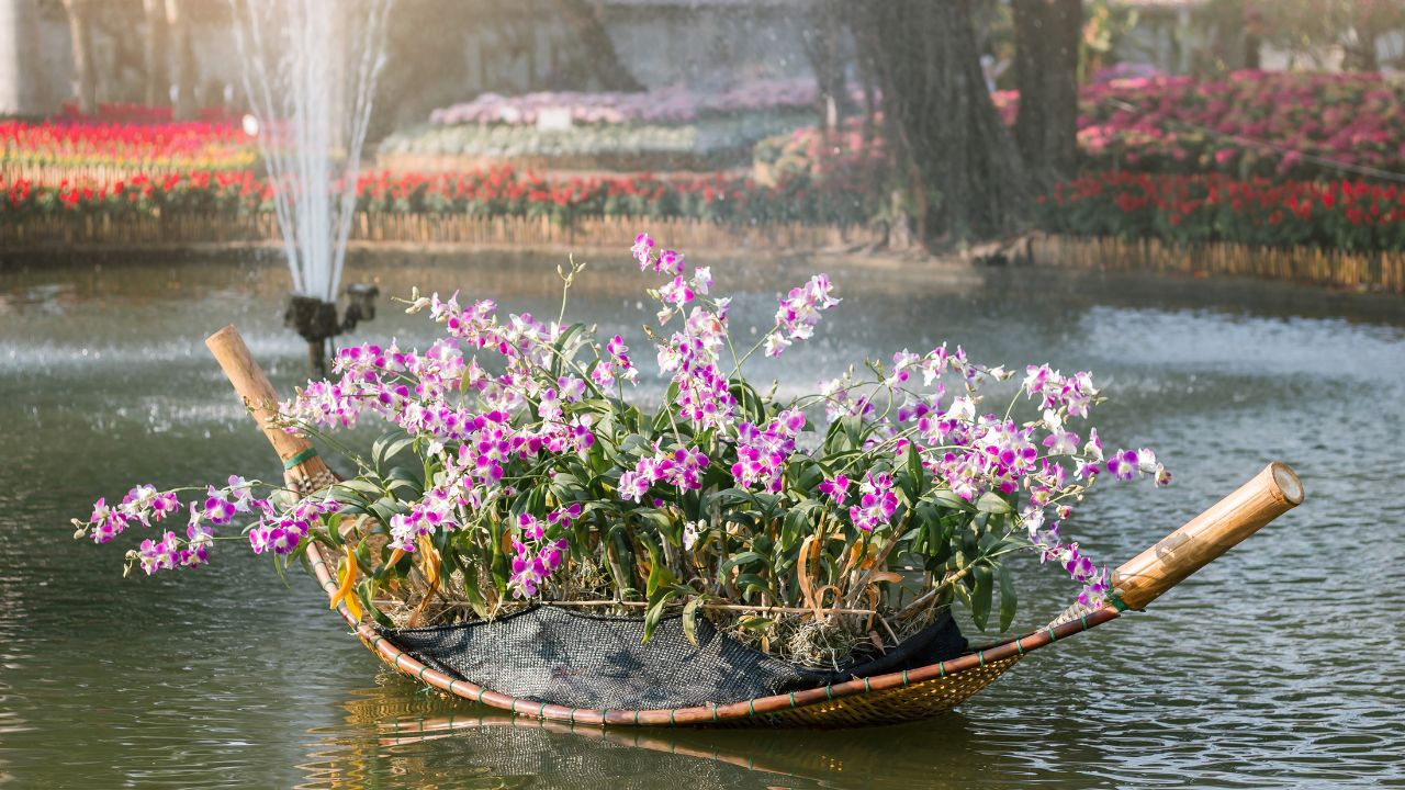 Pink orchid flowers planted in a small boat floating in the water with fountain