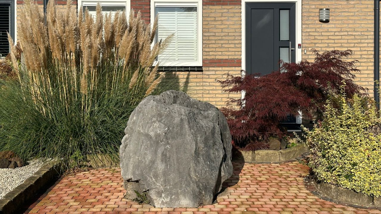 Rock garden design with natural elements. Pampas grass, Japanese maple, and a large stone near the entrance of a Dutch townhouse
