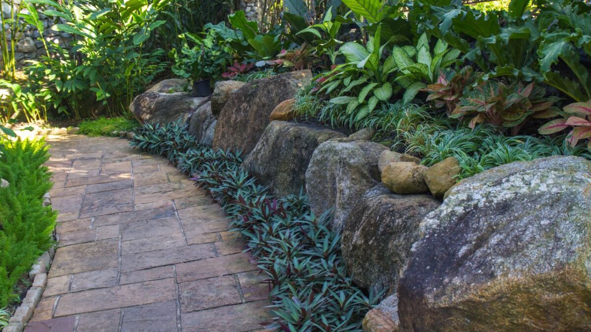 garden decoration by rock and plant. Set for relaxing and footpath for walk. Walkway. Pathway.