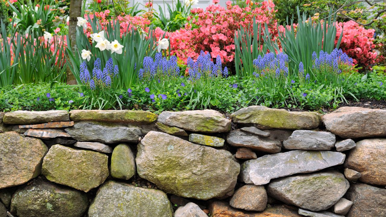 Dry Stone Wall and Colorful Garden