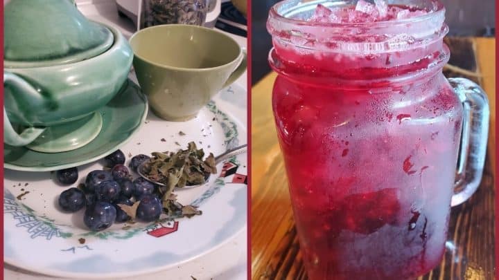 Easy Blueberry Tea Recipe
