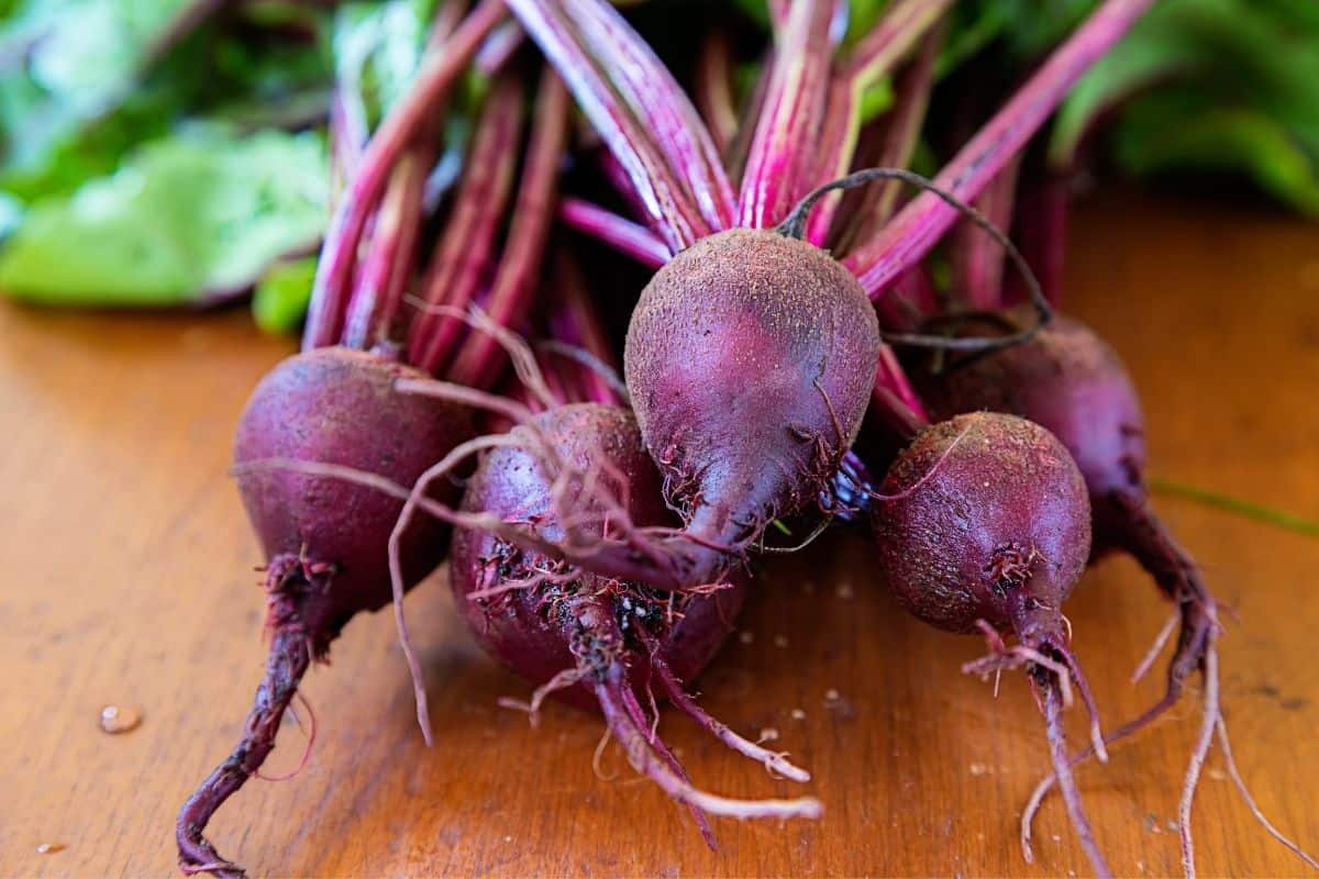 a bunch of freshly picked beets
