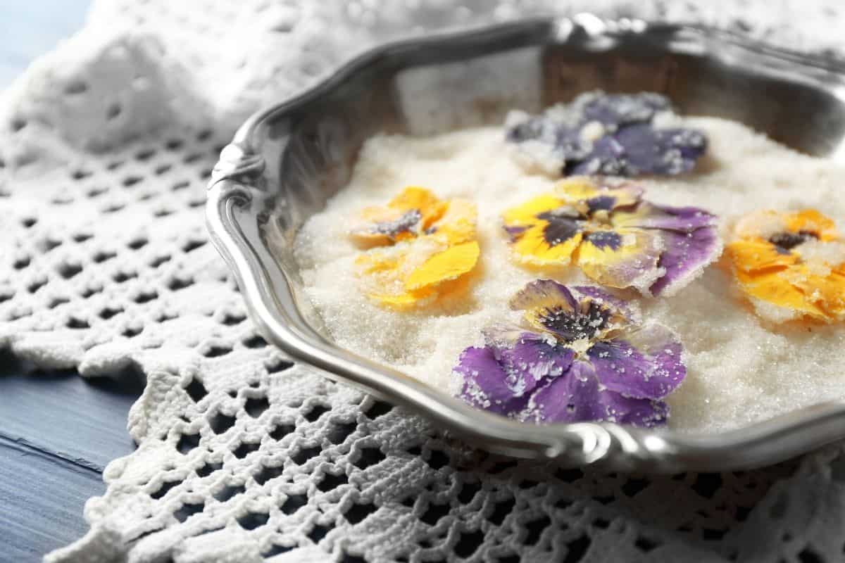 candied flowers