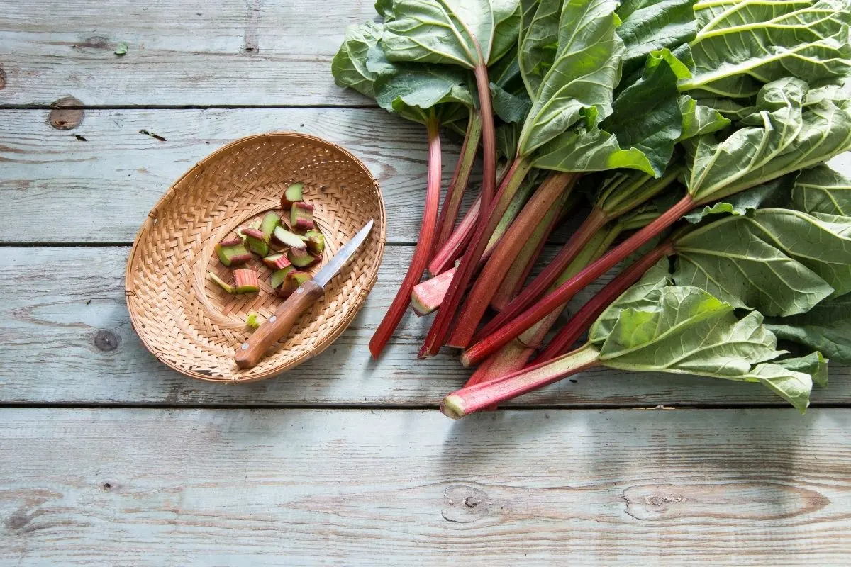 freshly picked rhubarb