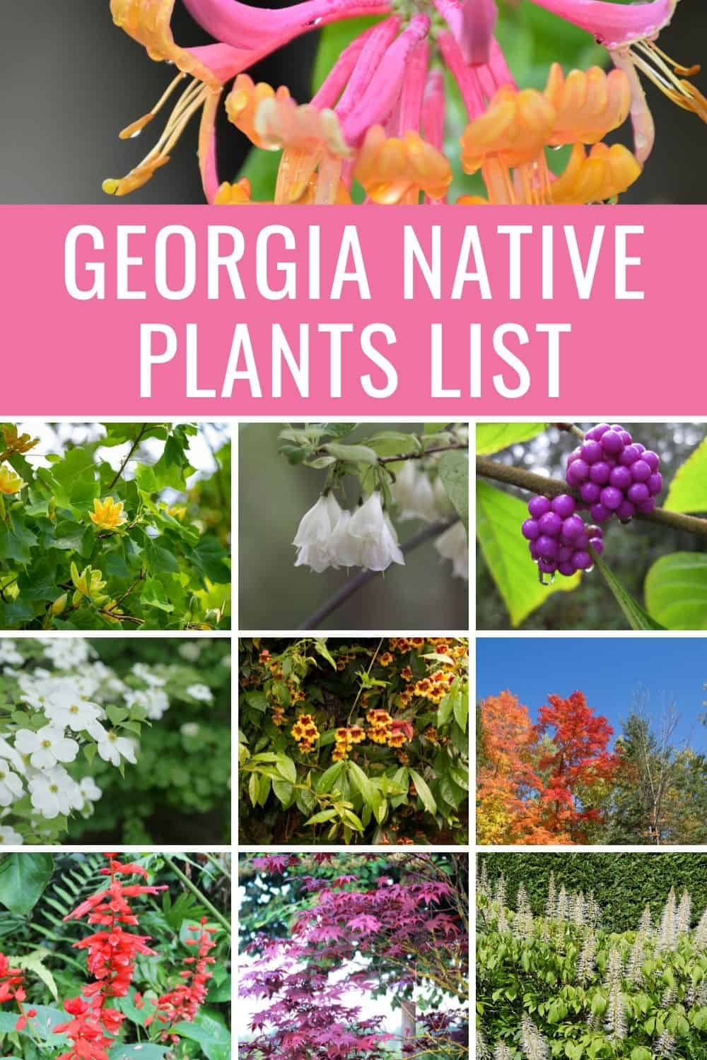 Georgia native plants list