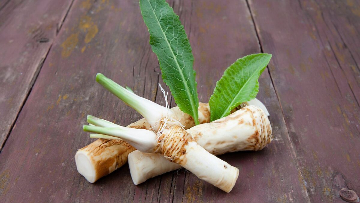 Horseradish roots and leaves.