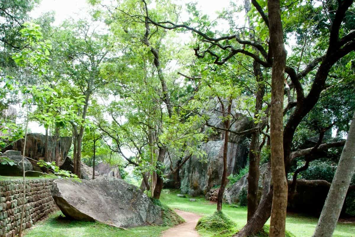 a large boulder at the side of a pathway