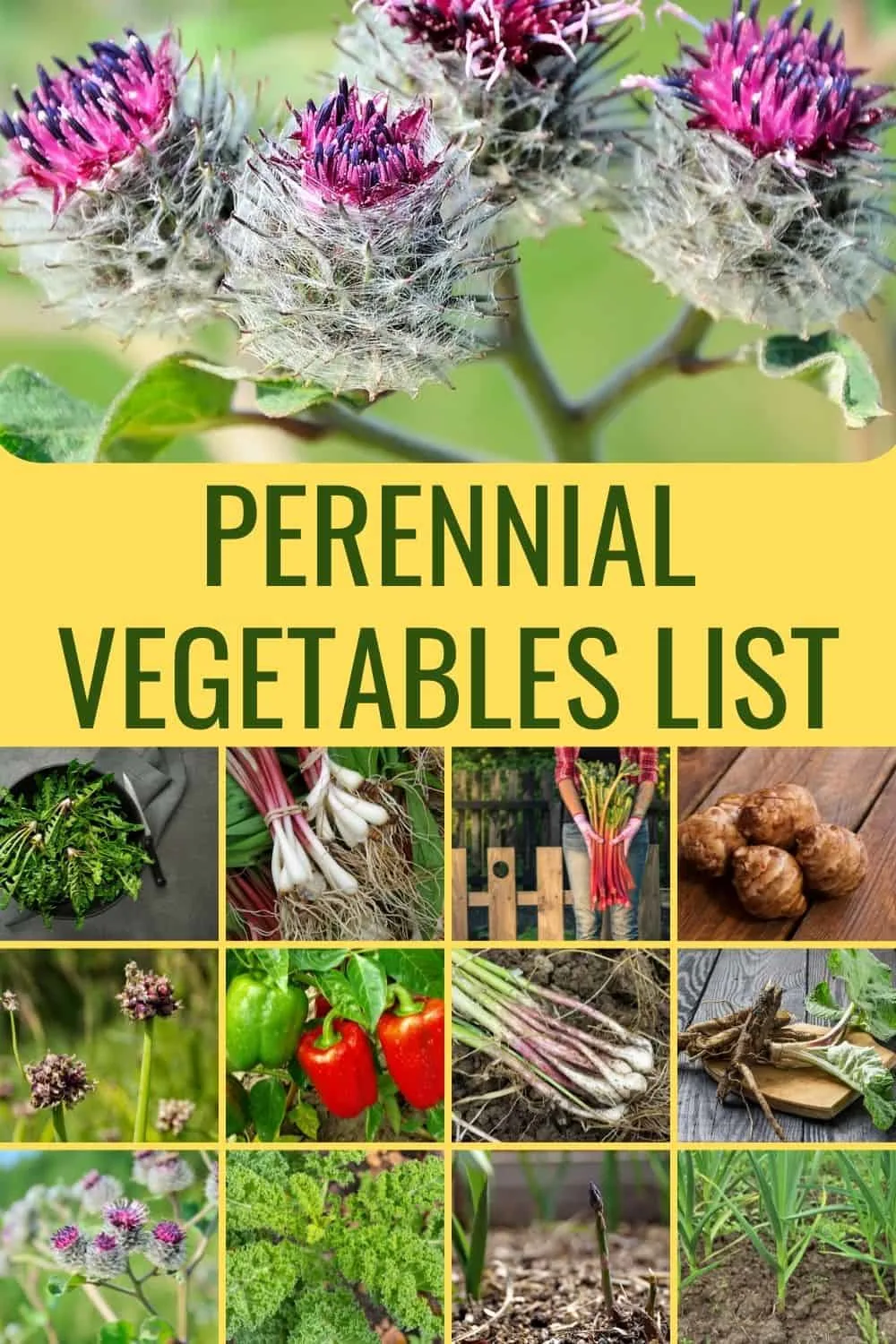 Perennial vegetables list