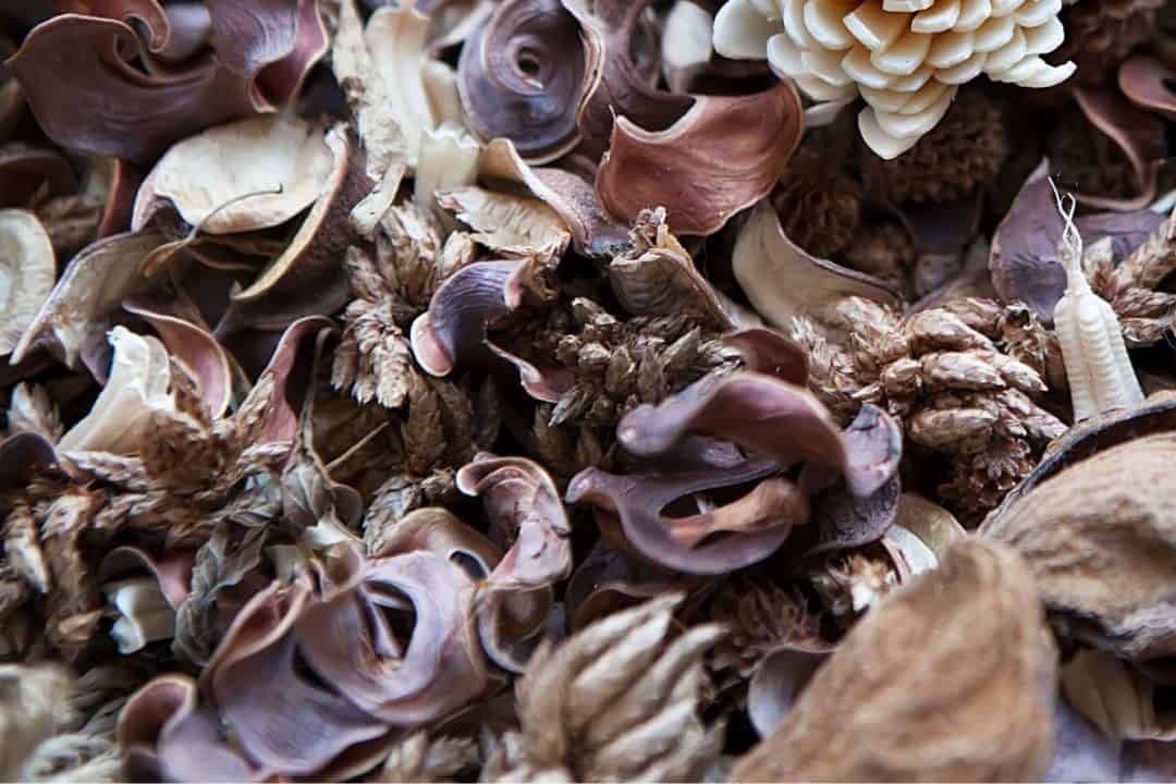 Are Rosemary Flowers Edible? 10 Creative Ways To Use Them