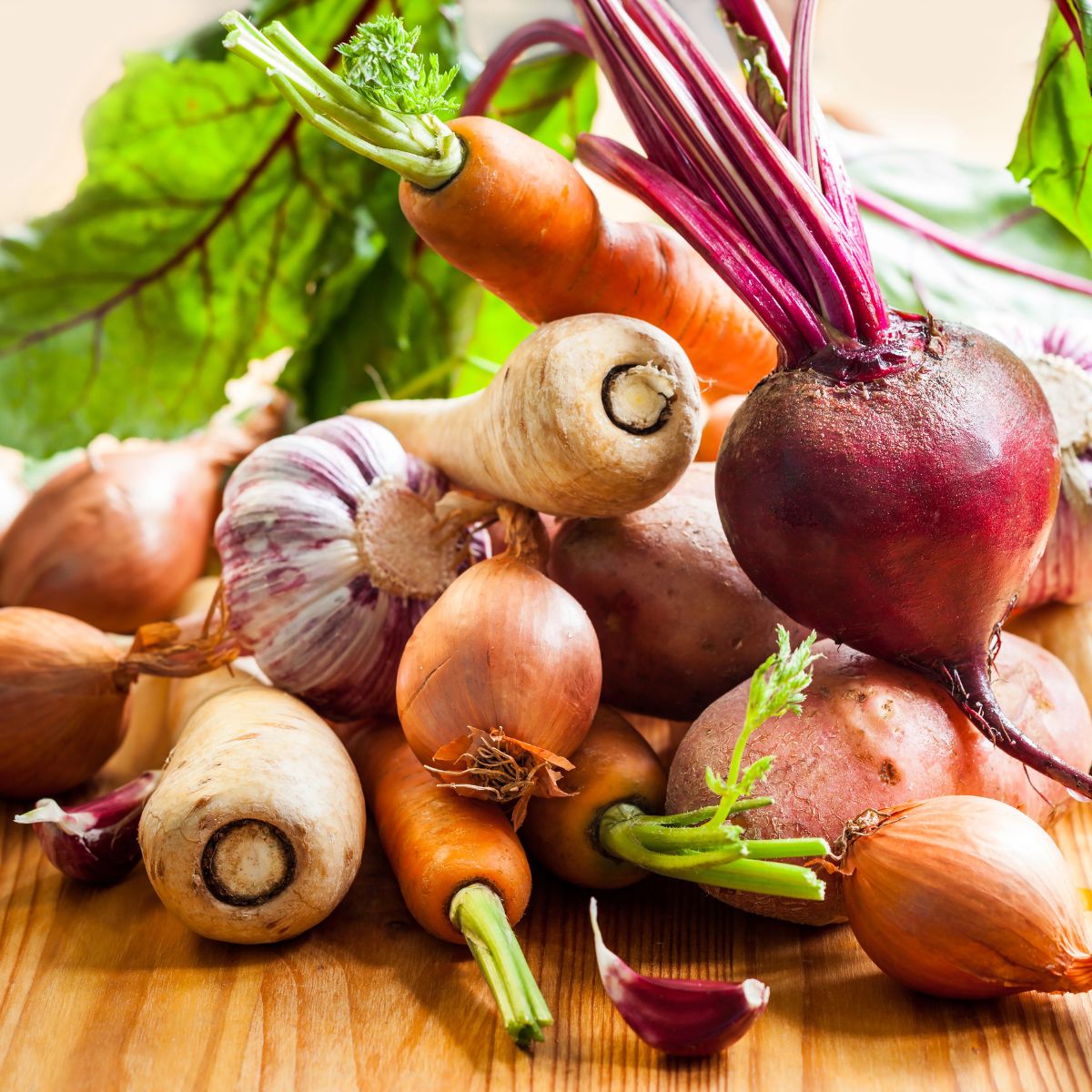Root vegetables on the table.