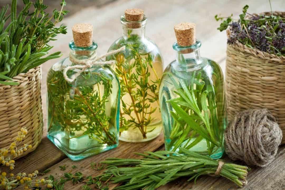 Are Rosemary Flowers Edible? 10 Creative Ways To Use Them
