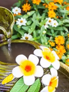 water fountain surrounded by flowers