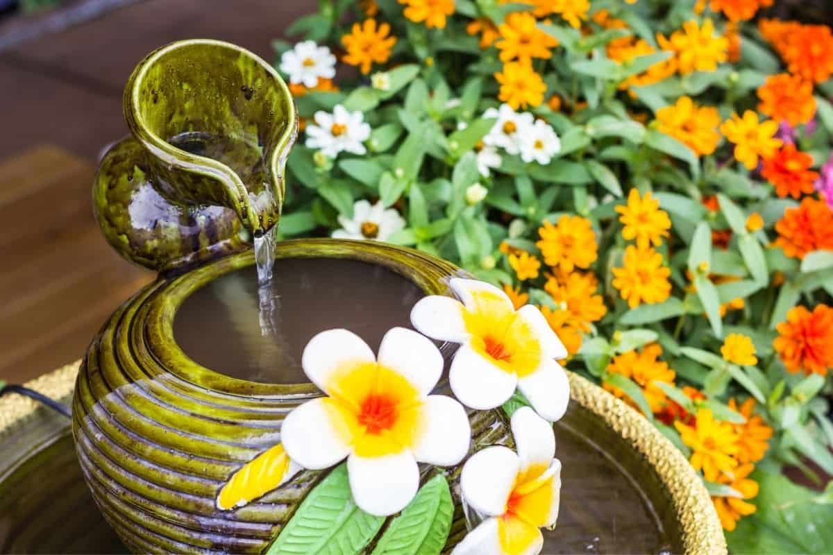 water fountain surrounded by flowers